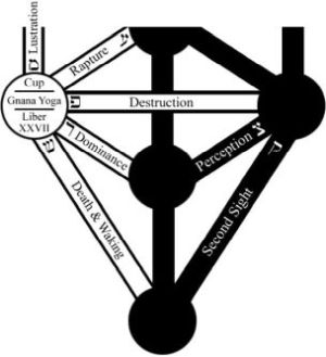 Tree of Life for the Practicus Grade