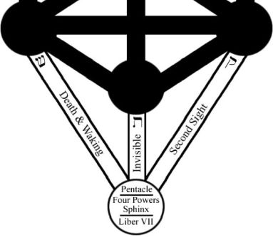 Neophyte